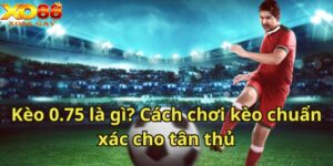 Kèo 0.75 là gì? Cách chơi kèo chuẩn xác cho tân thủ